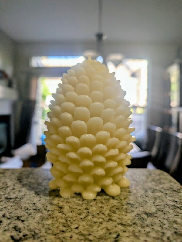 White Beeswax Pine Cone